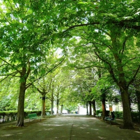 Ecoutes Au Vert / Genève / Aventures sonores au grand air! / Ecoutes au vert à la Fête de la Musique - Genève / Rive droite / Scène n°32 Vidollet / 72033147