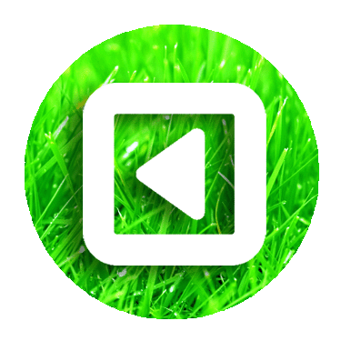 Ecoutes Au Vert / Genève / Aventures sonores au grand air! / Videos